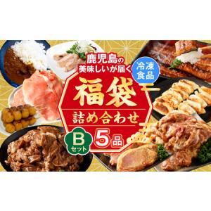 ふるさと納税 AS-086 【お楽しみ福袋B】鹿児島の美味しいが届く！5品以上 鹿児島県薩摩川内市