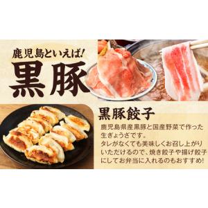 ふるさと納税 AS-086 【お楽しみ福袋B】...の詳細画像2