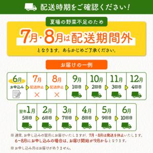 ふるさと納税 【10回】 野菜・フルーツ定期便...の詳細画像1