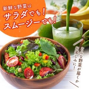 ふるさと納税 【10回】 野菜・フルーツ定期便...の詳細画像3