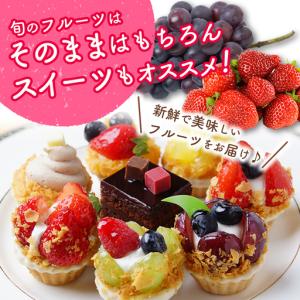 ふるさと納税 【10回】 野菜・フルーツ定期便...の詳細画像4