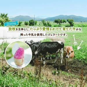 ふるさと納税 ジェラート まきばのジェラート ...の詳細画像2