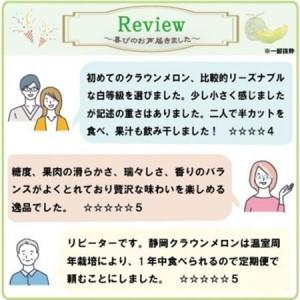 ふるさと納税 【毎月定期便】クラウンメロン(白...の詳細画像3