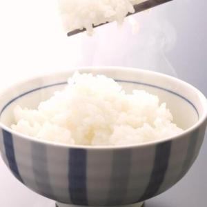 ふるさと納税 [先行予約]米 にじのきらめき ...の詳細画像1