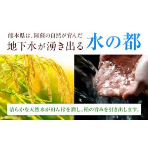 ふるさと納税 無洗米ふるさと無洗米 10kg(...の詳細画像2