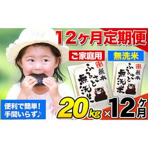 ふるさと納税 【12ヶ月定期便】熊本ふるさと無洗米 20kg 《お申し込みの翌月から出荷》 熊本県御船町