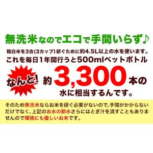 ふるさと納税 【12ヶ月定期便】熊本ふるさと無...の詳細画像2