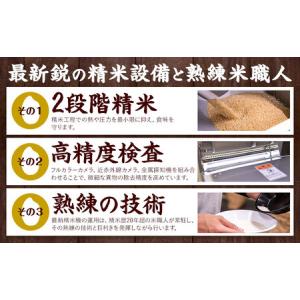 ふるさと納税 【12ヶ月定期便】熊本ふるさと無...の詳細画像3