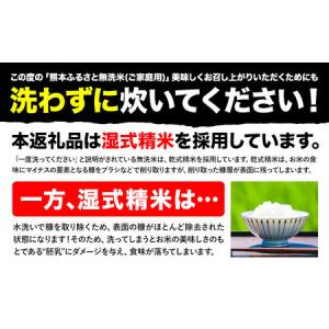 ふるさと納税 【12ヶ月定期便】熊本ふるさと無...の詳細画像4