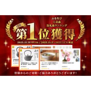 ふるさと納税 【1ヶ月以内で発送予定】 南部鉄...の詳細画像1