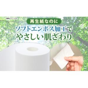 ふるさと納税 トイレットペーパー シングル 1...の詳細画像2