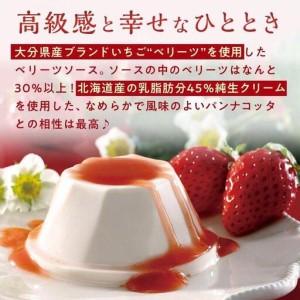 ふるさと納税 【お菓子の菊家】ベリーツのパンナ...の詳細画像1