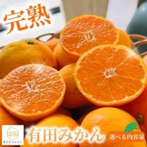 ふるさと納税 【訳あり・ご家庭用】【果汁たっぷり】迫力満点 大粒 有田みかん サイズ混合(2L〜4L...