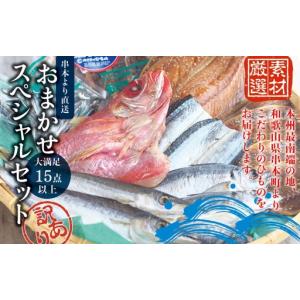 ふるさと納税 【訳あり干物セット】たっぷり15点...の商品画像