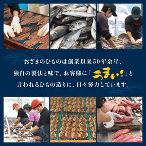 ふるさと納税 【訳あり干物セット】たっぷり15...の詳細画像2