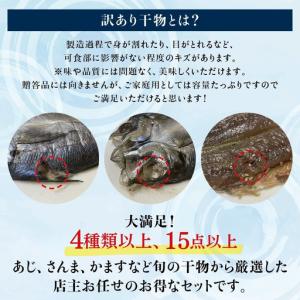 ふるさと納税 【訳あり干物セット】たっぷり15...の詳細画像4