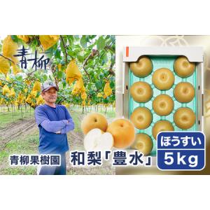 ふるさと納税 【2026年先行予約】青柳果樹園の和梨 豊水 5kg(10〜14玉)《9月上旬〜順次出荷》 果物 ほうすい 加茂市 青柳果樹園 新潟県加茂市