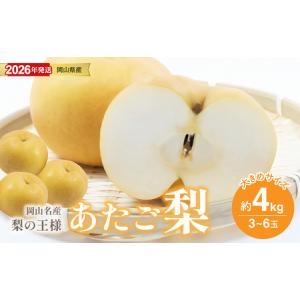 ふるさと納税 【2026年発送分 先行受付スタート！】岡山名産 あたご梨 　秀品　約4kg（3〜6玉）（令和8年11月下旬以降発送）【梨】 岡山県備前市