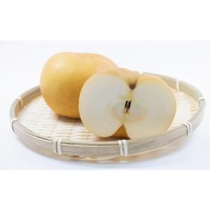 ふるさと納税 【2026年発送分 先行受付スタ...の詳細画像2