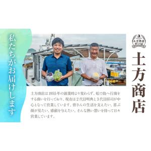 ふるさと納税 【2026年発送分 先行受付スタ...の詳細画像3