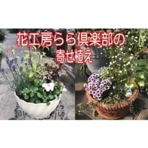 ふるさと納税 東北最大級のガーデニング専門店 厳...の商品画像