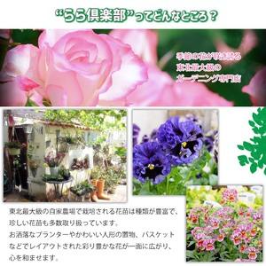 ふるさと納税 東北最大級のガーデニング専門店 ...の詳細画像1