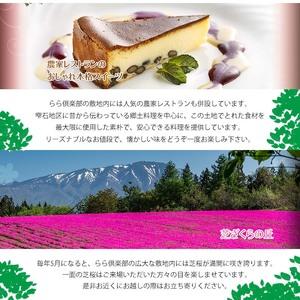 ふるさと納税 東北最大級のガーデニング専門店 ...の詳細画像2