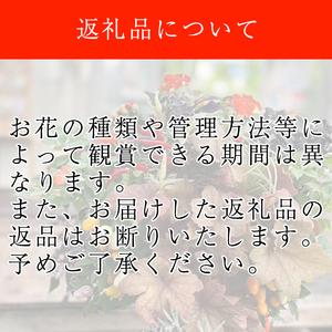 ふるさと納税 東北最大級のガーデニング専門店 ...の詳細画像3