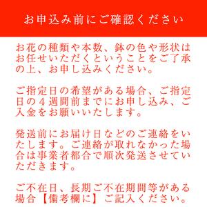 ふるさと納税 東北最大級のガーデニング専門店 ...の詳細画像4