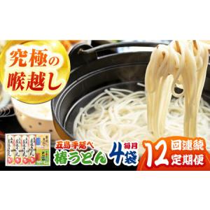ふるさと納税 【12回定期便】【コシのある細麺】五島うどん4袋（だし付）五島市/中本製麺[PCR028] 長崎県五島市