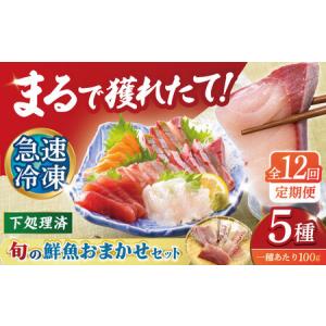 ふるさと納税 【12回定期便】【下処理済】超速冷凍鮮魚5種 五島市 / 金沢鮮魚[PEP021]  長崎県五島市