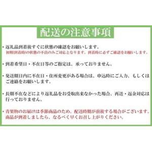 ふるさと納税 〈毎月定期便〉人気の海幸山幸食べ...の詳細画像3