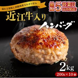 ふるさと納税 ハンバーグ10個 近江牛入り [RM201_FW]ハンバーグ 滋賀県竜王町｜ふるなび(ふるさと納税)