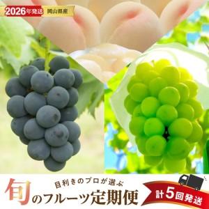 ふるさと納税 【2026年発送分 先行受付スタート！】【定期便】岡山県産 白桃 約4kg・ぶどう 約5kg 計５回発送【桃 ぶどう】 岡山県備前市