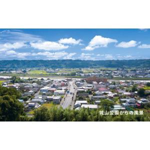 ふるさと納税 高城合戦1冊(みやざき文庫)_K...の詳細画像3