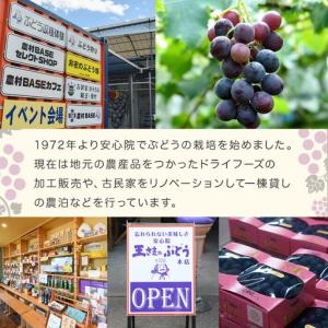 ふるさと納税 ねてもさめても濃縮蜜柑 (計70...の詳細画像2
