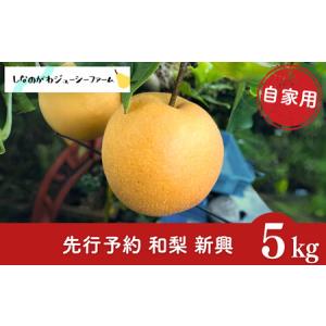 ふるさと納税 2026年産先行予約 和梨 新興 自家用 約5kg 令和8年度 新潟県 三条市産 梨 しなのがわジューシーファーム 新潟県三条市