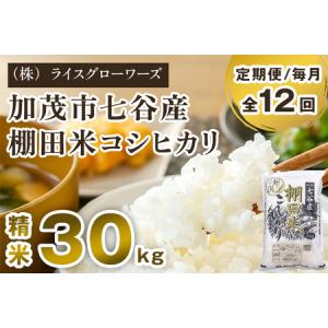 ふるさと納税 【令和7年産】【定期便12ヶ月毎月お届け】七谷産 棚田米コシヒカリ 精米30kg（5kg×6）《順次出荷》 白米 （株）ライスグロー.. 新潟県加茂市
