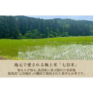 ふるさと納税 【令和8年産新米先行予約】【定期...の詳細画像1