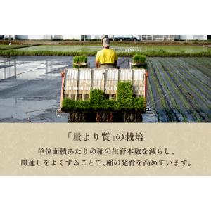 ふるさと納税 【令和8年産新米先行予約】【定期...の詳細画像3