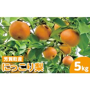 ふるさと納税 【先行予約】栃木県芳賀町産「にっこり梨」約5kg | 果物 フルーツ 梨 ※2026年10月上旬〜10月下旬頃に順次発送予定 ※離島への配送.. 栃木県芳賀町