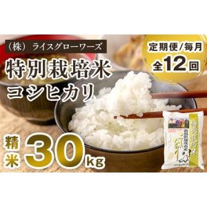 ふるさと納税 【令和8年産新米先行予約】【定期便12ヶ月毎月お届け】新潟県加茂市産 特別栽培米コシヒカリ 精米30kg（5kg×6）《10月上旬〜.. 新潟県加茂市