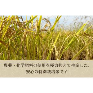 ふるさと納税 【令和8年産新米先行予約】【定期...の詳細画像3