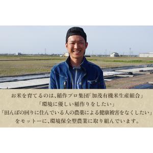 ふるさと納税 【令和8年産新米先行予約】【定期...の詳細画像4