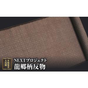 ふるさと納税 本場奄美大島紬NEXTプロジェクト...の商品画像