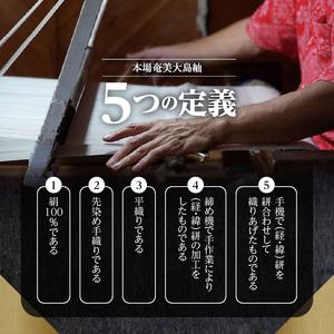 ふるさと納税 本場奄美大島紬NEXTプロジェク...の詳細画像3