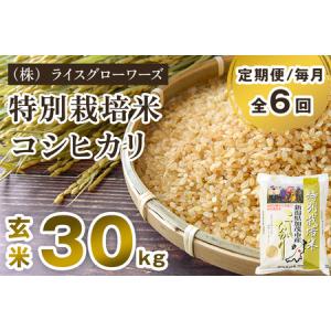 ふるさと納税 【令和8年産新米先行予約】【定期便...の商品画像