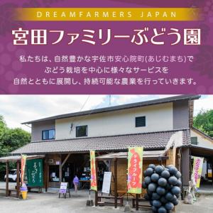 ふるさと納税 ねてもさめても濃縮蜜柑(計350...の詳細画像1
