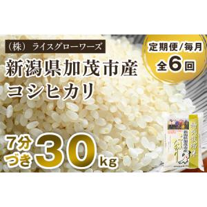 ふるさと納税 【令和8年産新米】【定期便6ヶ月毎...の商品画像