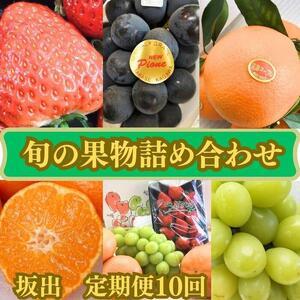 ふるさと納税 旬の果物詰め合わせ定期便10回 香川県坂出市